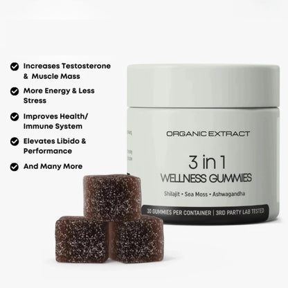 BLACK FRIDAY SALE - 3-in-1 Wellness Gummies Organic Extract