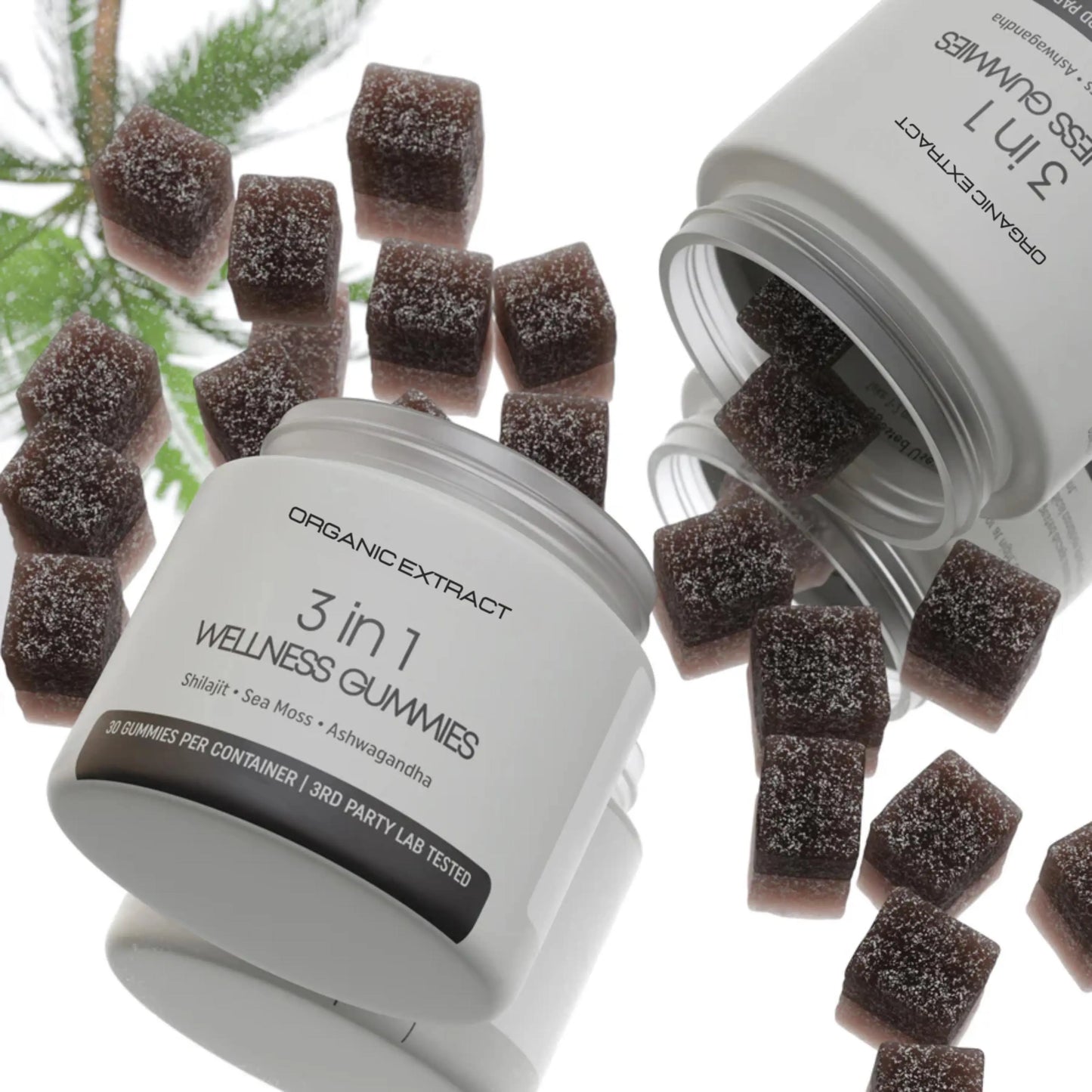 BLACK FRIDAY SALE -  3-in-1 Wellness Gummies Organic Extract