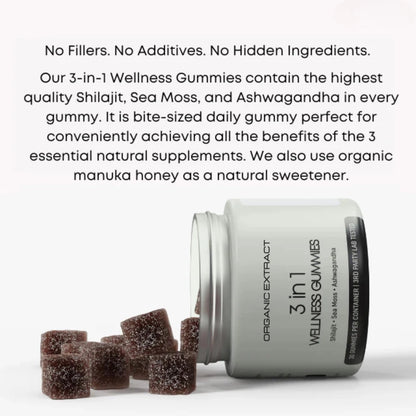 CHRISTMAS SALE - 3-in-1 Wellness Gummies Organic Extract